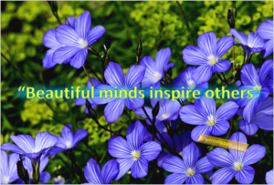 Beautiful mind
