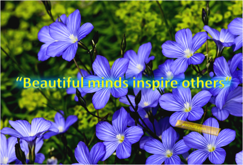 Beautiful mind