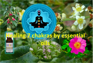 Essential Oils