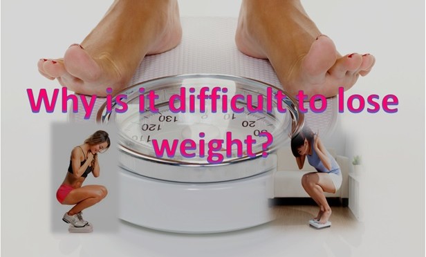 Why is difficult to lose weight?