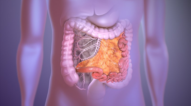 Mesentery