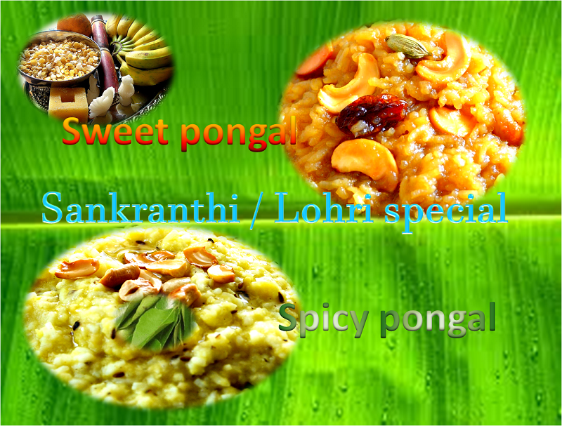 Sweet and Spicy Pongal Recipes