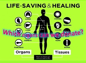 What Organs Can We Donate?