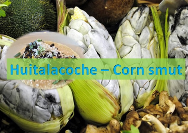Huitalacoche - Corn Smut
