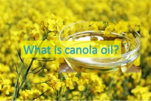 Rapeseed Oil Became Canola Oil