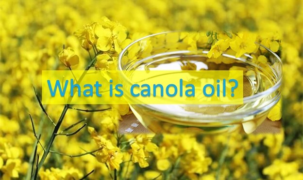 Rapeseed Oil Became Canola Oil