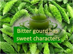 Bitter gourd has sweet characters!