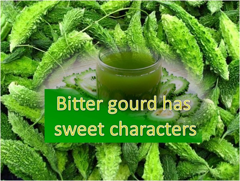 Bitter gourd has sweet characters!