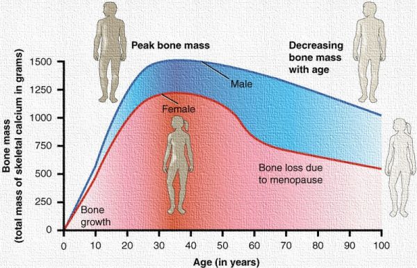 Bone health at Age 20s