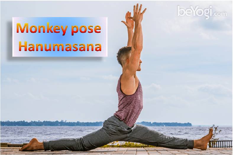 Monkey Pose