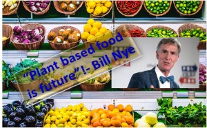 Plant Based Foods