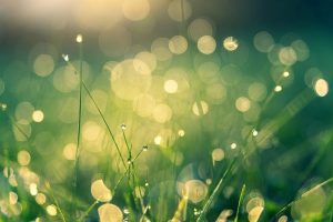 Vitamin D and Calcium play important role