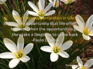 How to prepare for opportunities that you will get?