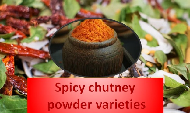 Spicy Chutney Powder Varieties