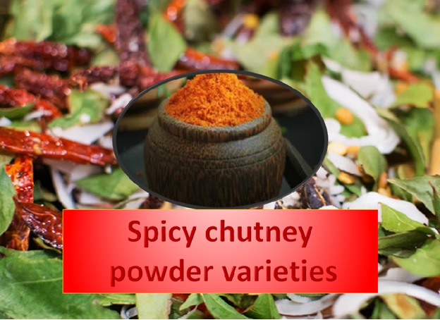 Spicy Chutney Powder Varieties