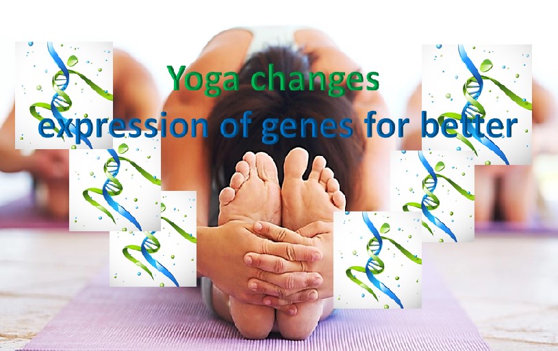 International Yoga