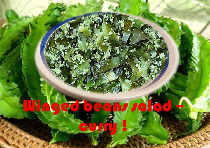 Winged beans salad curry