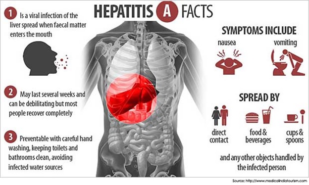 Hepatitis A Facts