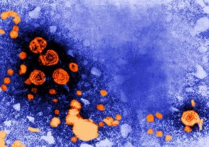Hepatitis – Understand the disease and act now