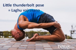 Laghu vajrasana