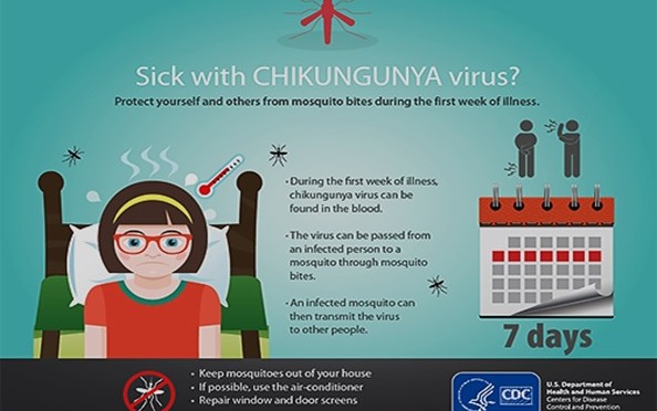 Chikungunya