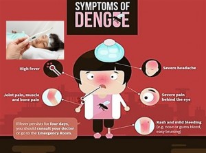Dengue Fever
