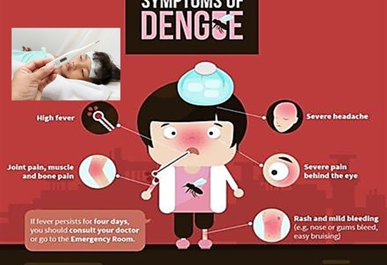 Dengue Fever