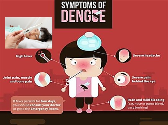 Dengue Fever