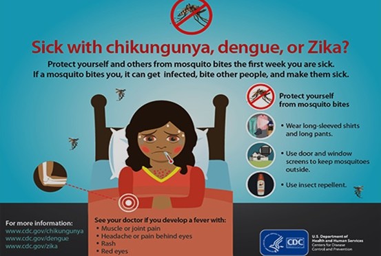 Prevention Efforts for Arboviral Illnesses