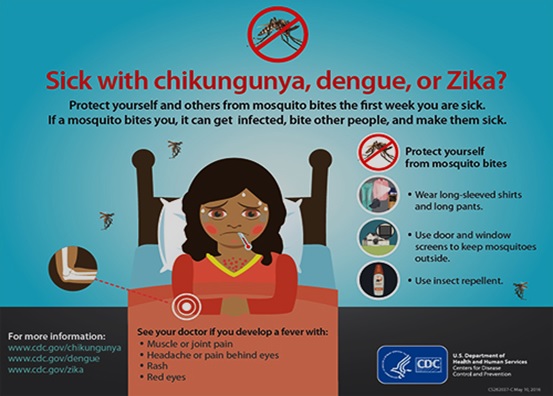 Prevention Efforts for Arboviral Illnesses
