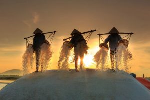 Microplastic contamination in Sea salt