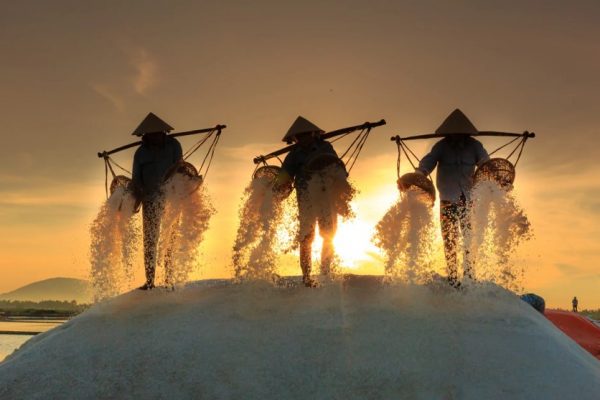 Microplastic contamination in Sea salt
