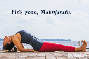 Fish pose, Matsyasana