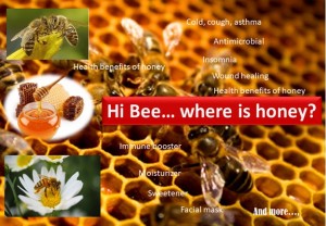 Honey and its benefits