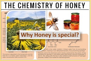 What makes honey special? Why it is in use from centuries?