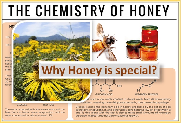 What makes honey special? Why it is in use from centuries?