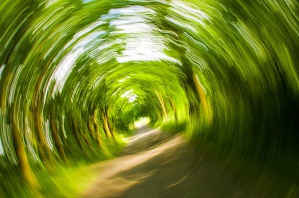 19 simple ways to reduce dizziness
