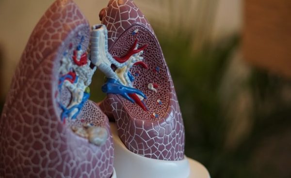 Keep your lungs breathing