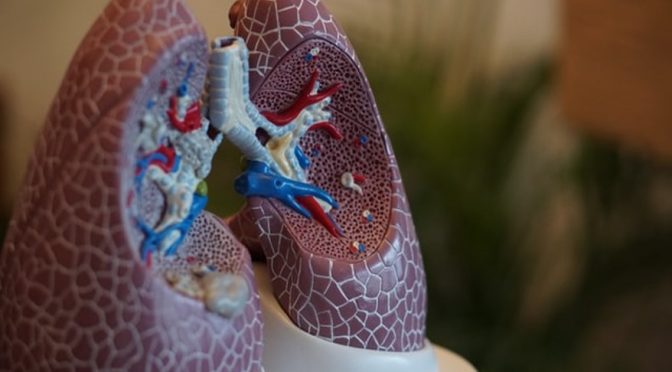 Keep your lungs breathing