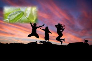 Aloe Vera Gel For Men And Women