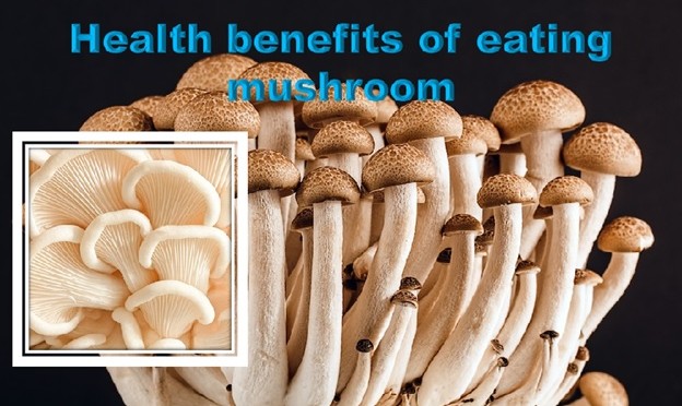 Benefits of eating mushroom