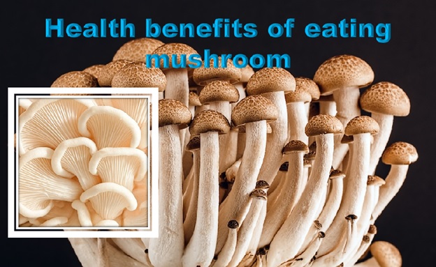 Benefits of eating mushroom