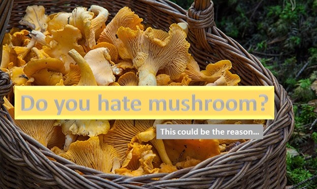 Do you hate mushroom?