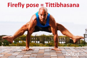 Firefly pose Tittibhasana