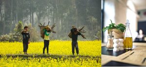 Unbelievable uses of mustard oil