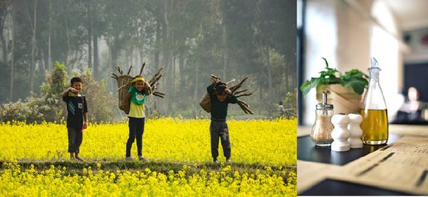 Unbelievable uses of mustard oil