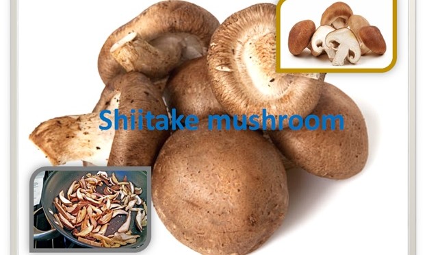 Shiitake Mushroom