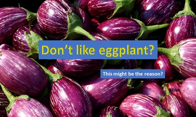 Why you don't like eggplant?
