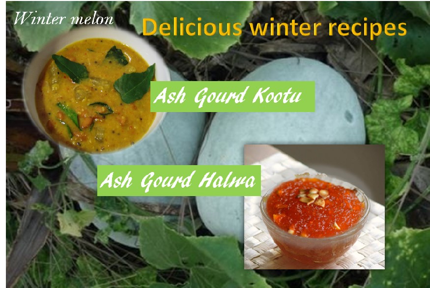 Ash gourd halwa and Ash gourd kootu
