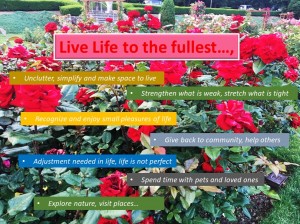Live life to the fullest